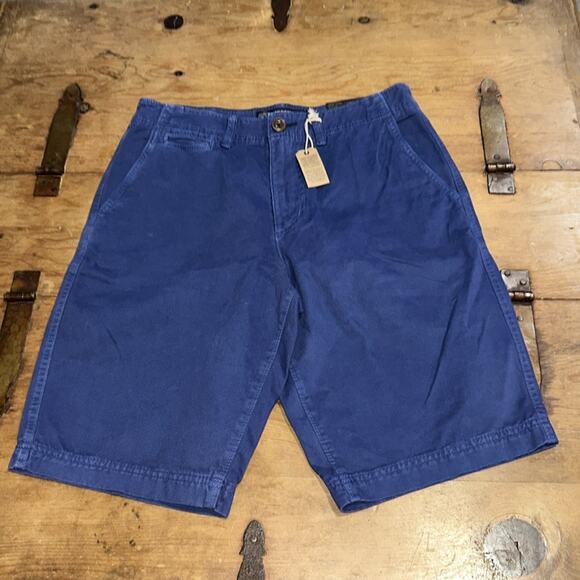 Mens American Eagle Outfitters Blue Shorts Size 31 - Picture 1 of 11